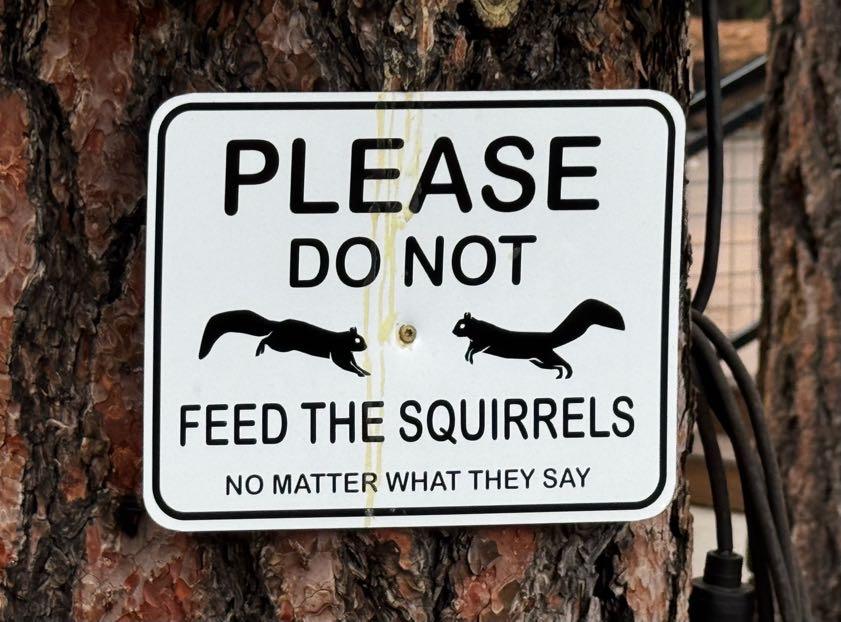 Sign reading Please Do Not Feed The Squirrels, No Matter What They Say